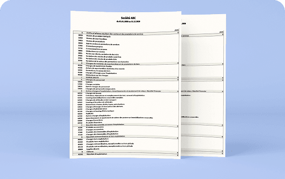 Aperçu du document de compte de résultats pour PME